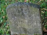 image of grave number 196869